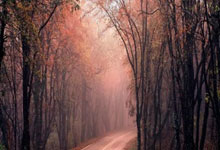 以体树人 发展学校体育.