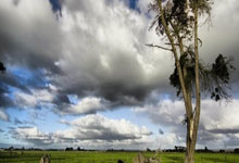 35岁巴特勒有多强?加入后勇士7战6胜!4大能力助库里重返前8争冠.