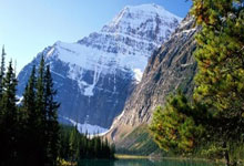 人生就是搏:足協杯半決賽次回合河南嵩山龍門2-4山東泰山 劉洋德爾加多雙雙梅開二度.